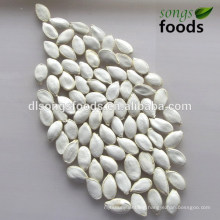 chinese vegetable seeds/Snow white pumpkin seeds